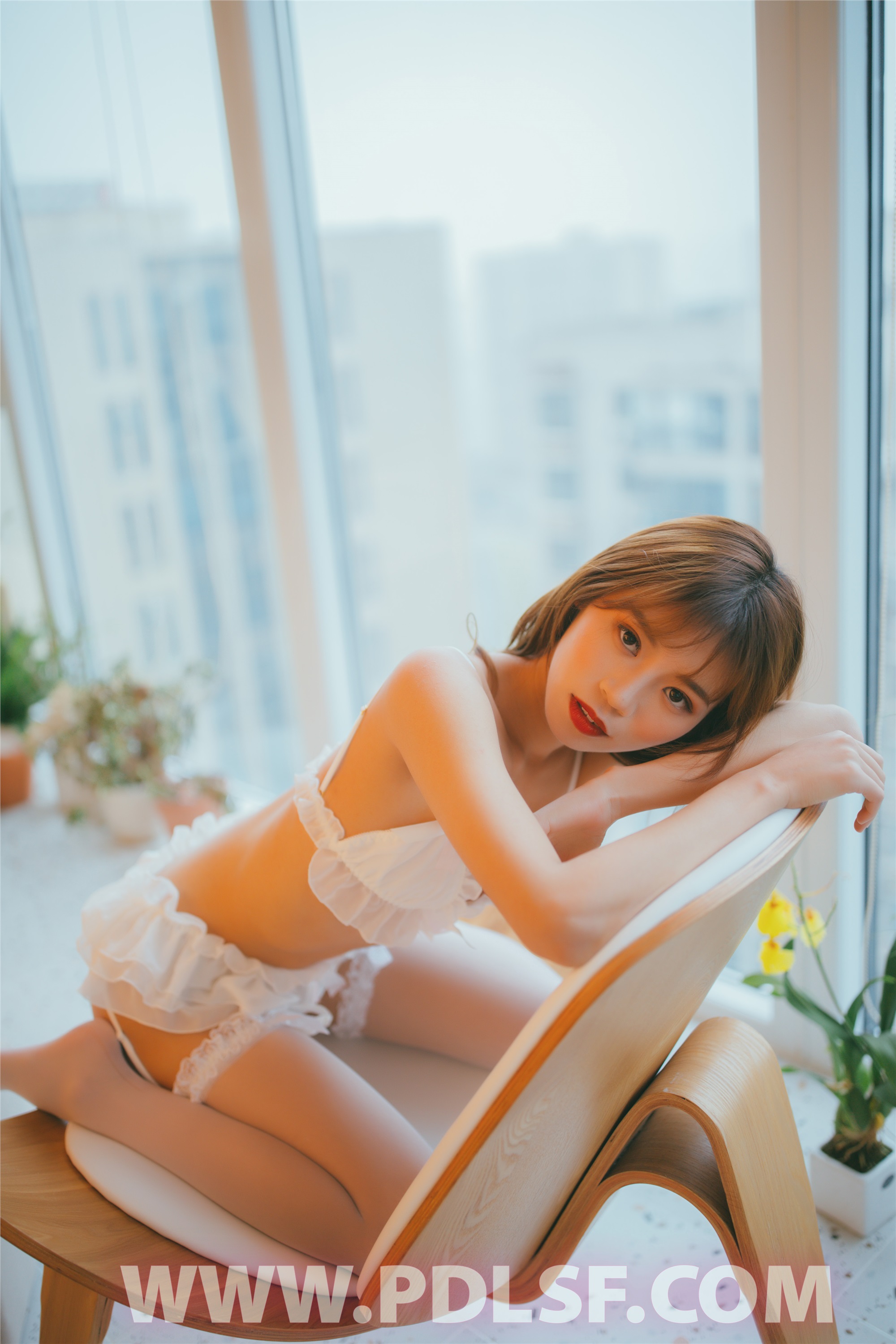 PDL潘多拉 2020.02.09 专辑No.279